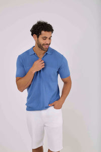 Men Regular Fit Polo - Blue