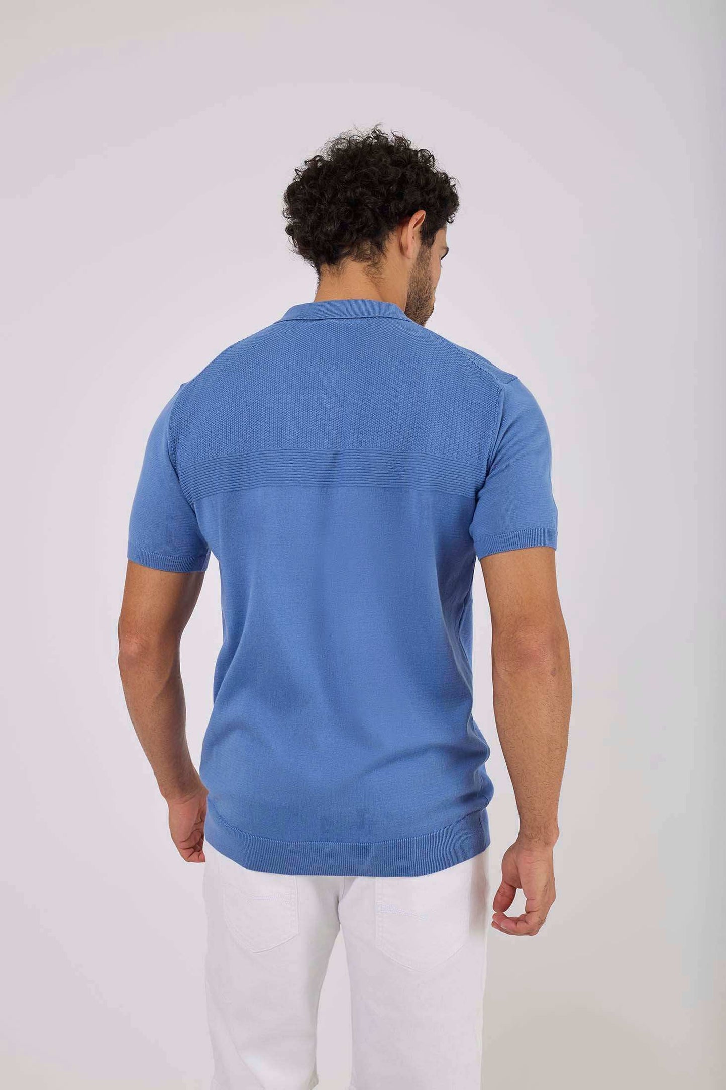 Men Regular Fit Polo - Blue