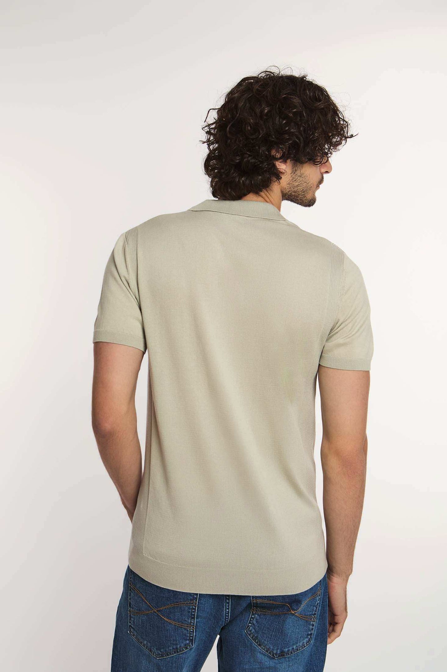 Men Regular Fit Polo - Blue