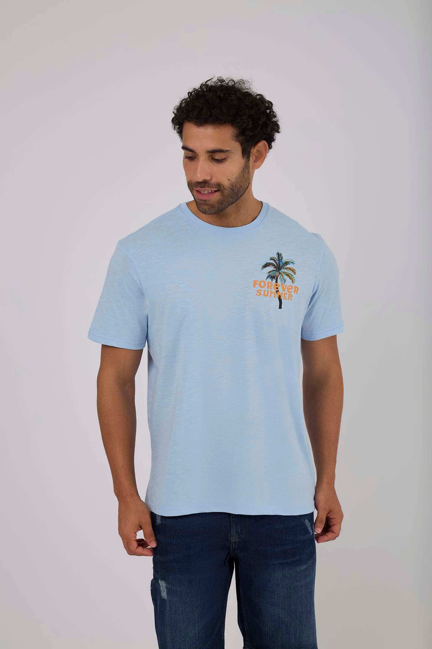 Men Regular Fit T-Shirt - Blue