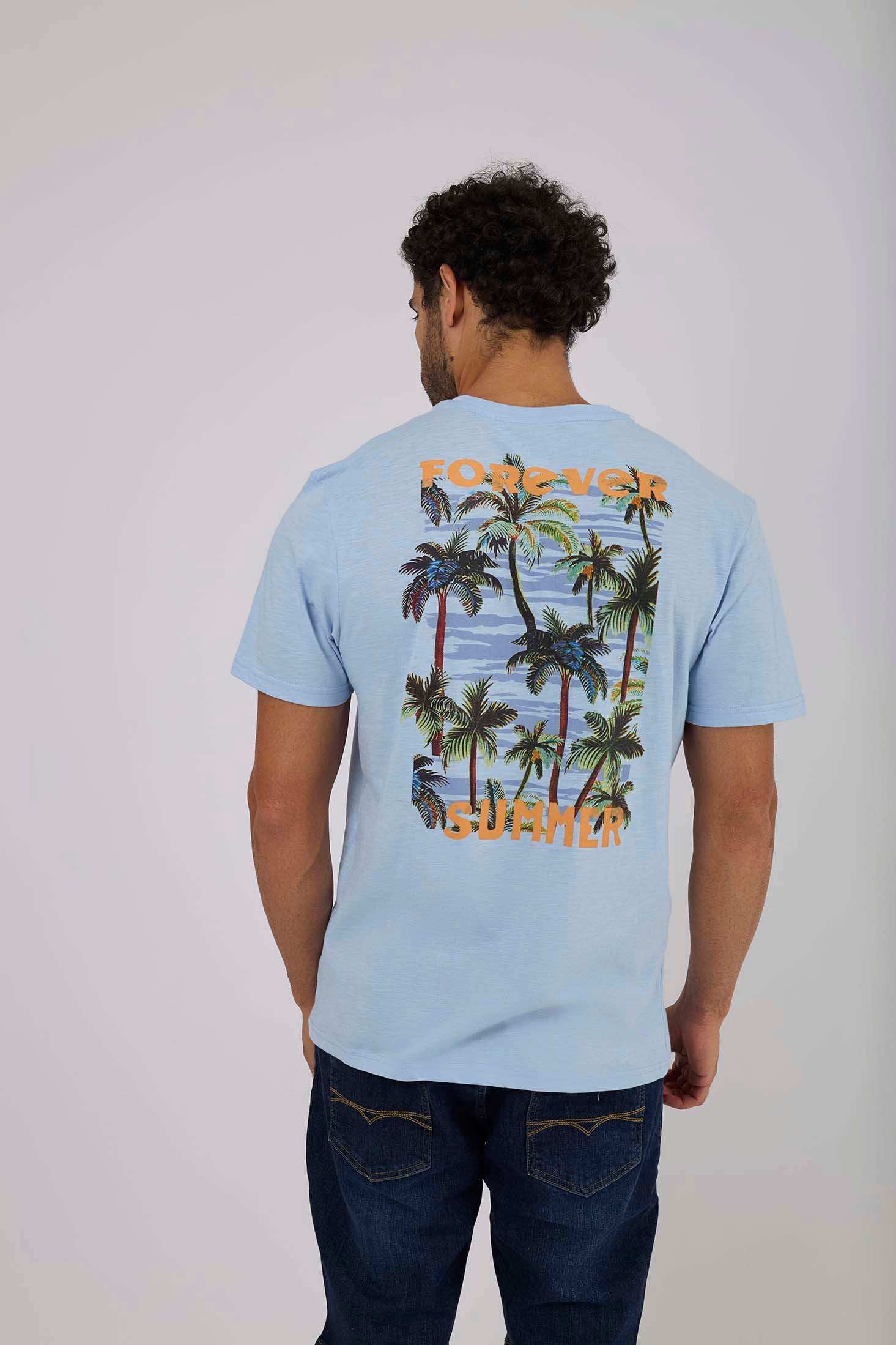 Men Regular Fit T-Shirt - Blue