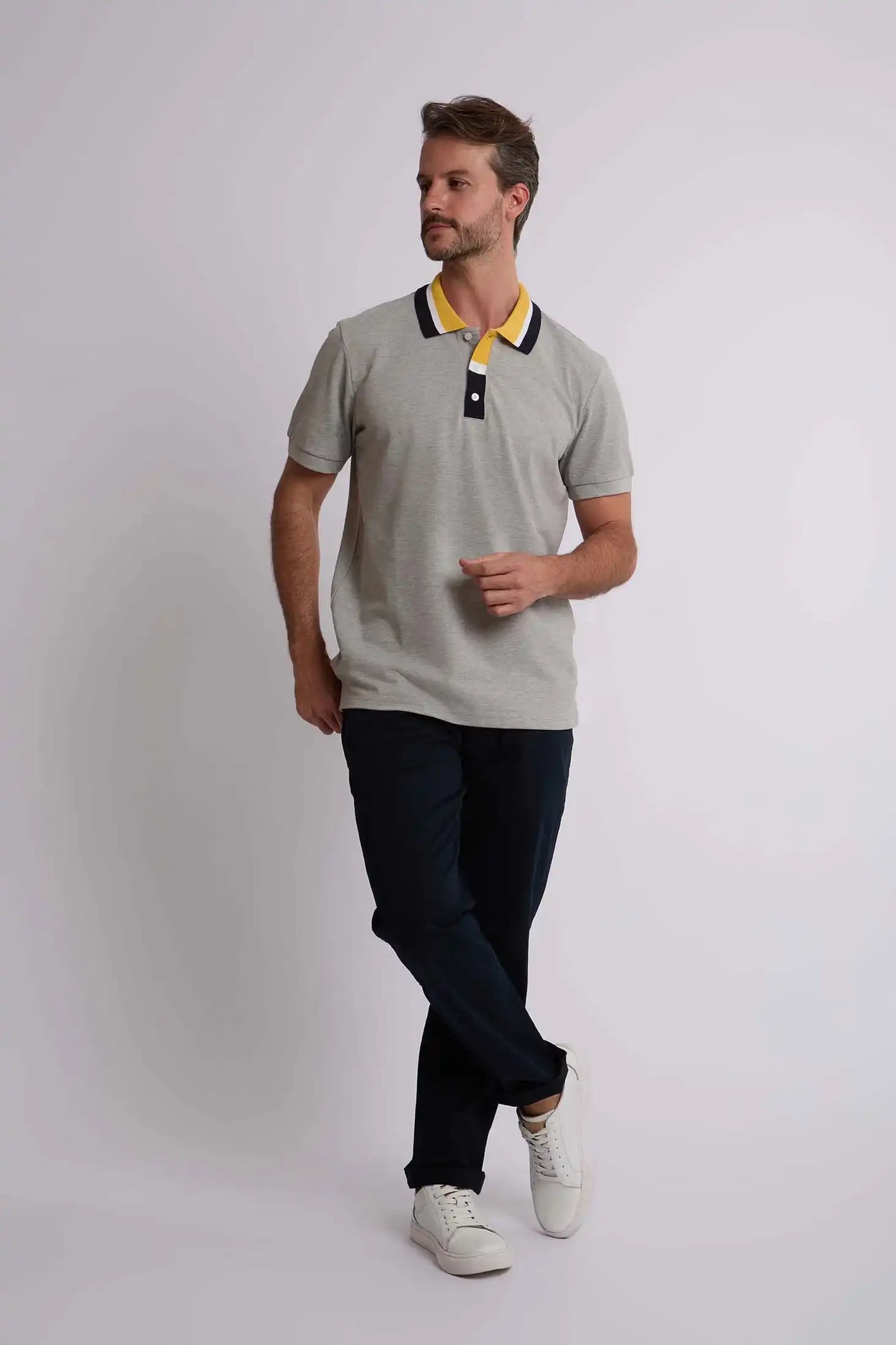 Men Regular Fit Polo - Grey