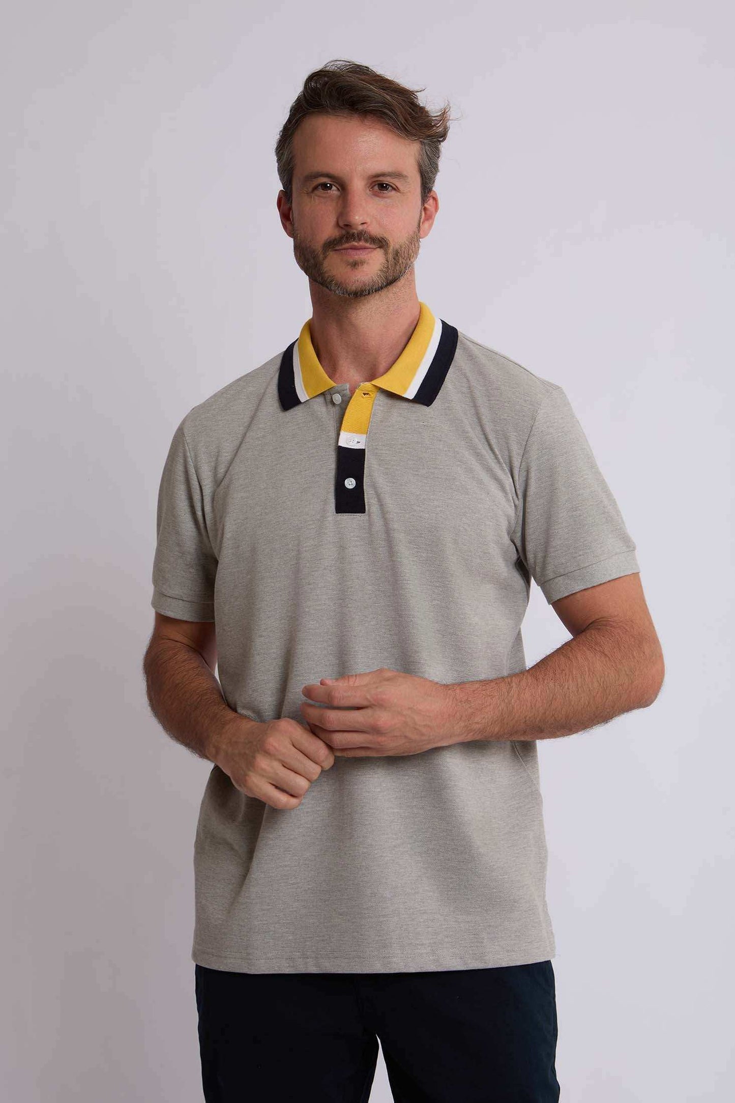 Men Regular Fit Polo - Grey