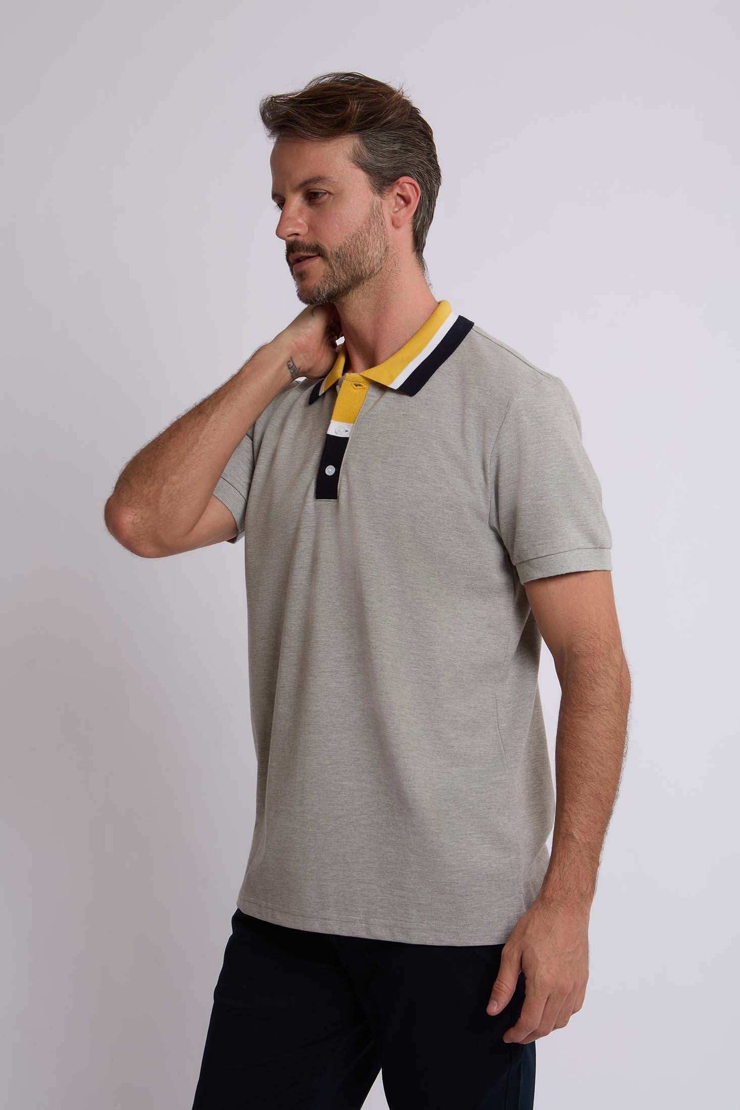 Men Regular Fit Polo - Grey