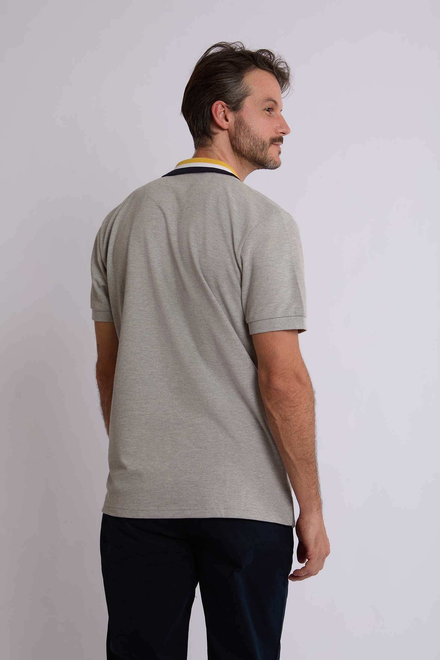 Men Regular Fit Polo - Grey