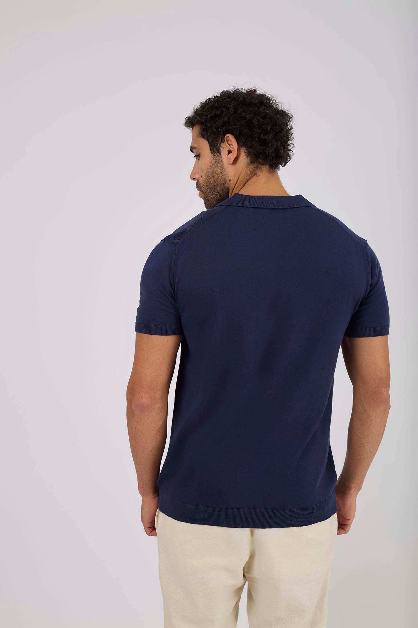 Men Regular Fit Polo - Blue