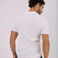 Men Regular Fit Polo - Red