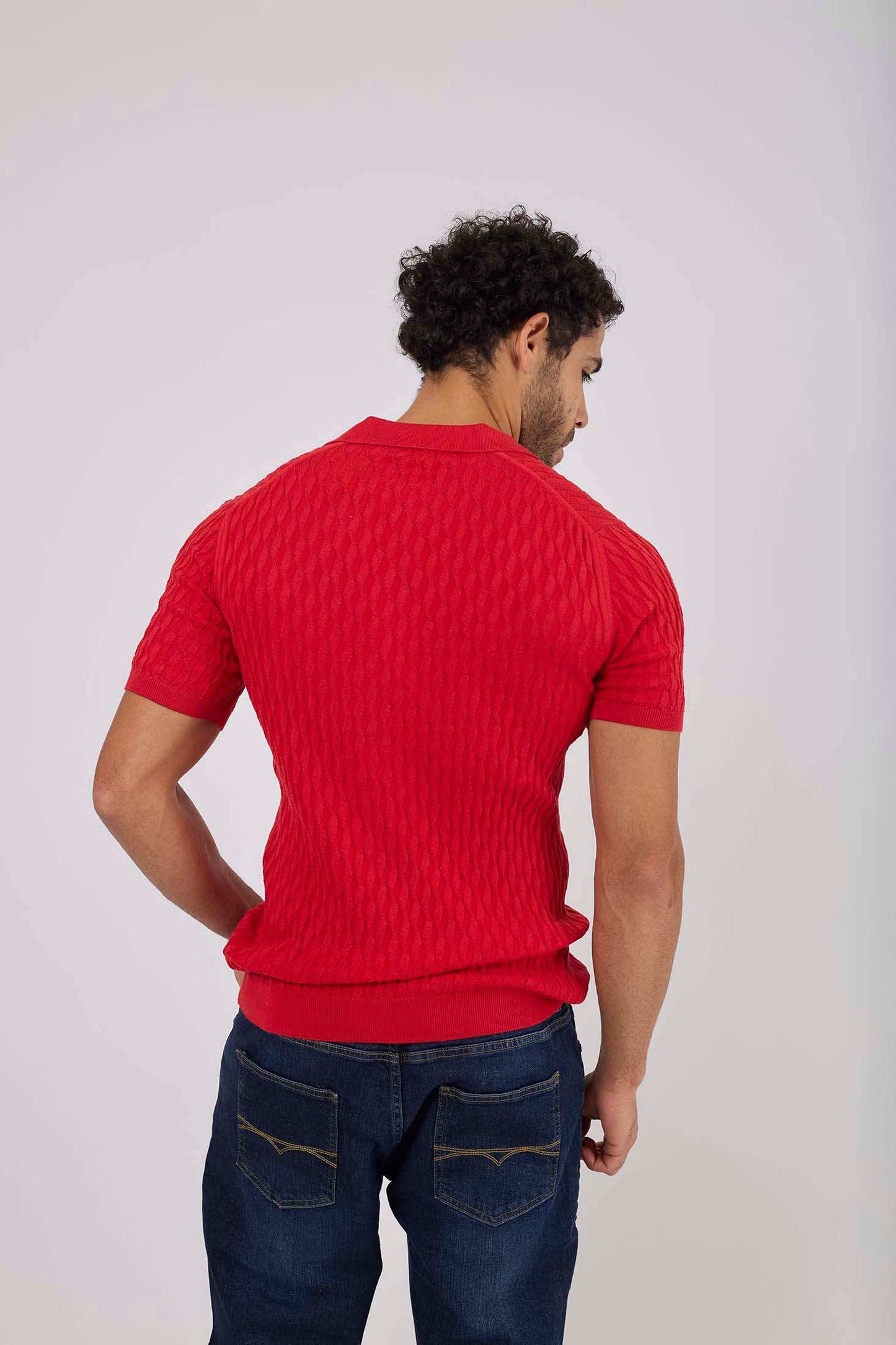 Men Regular Fit Polo - Red