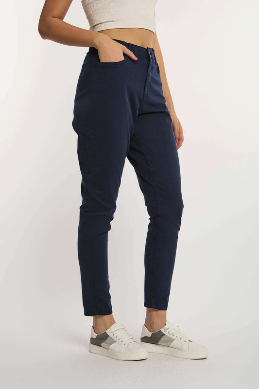 Women Regular Fit Pant - Brown