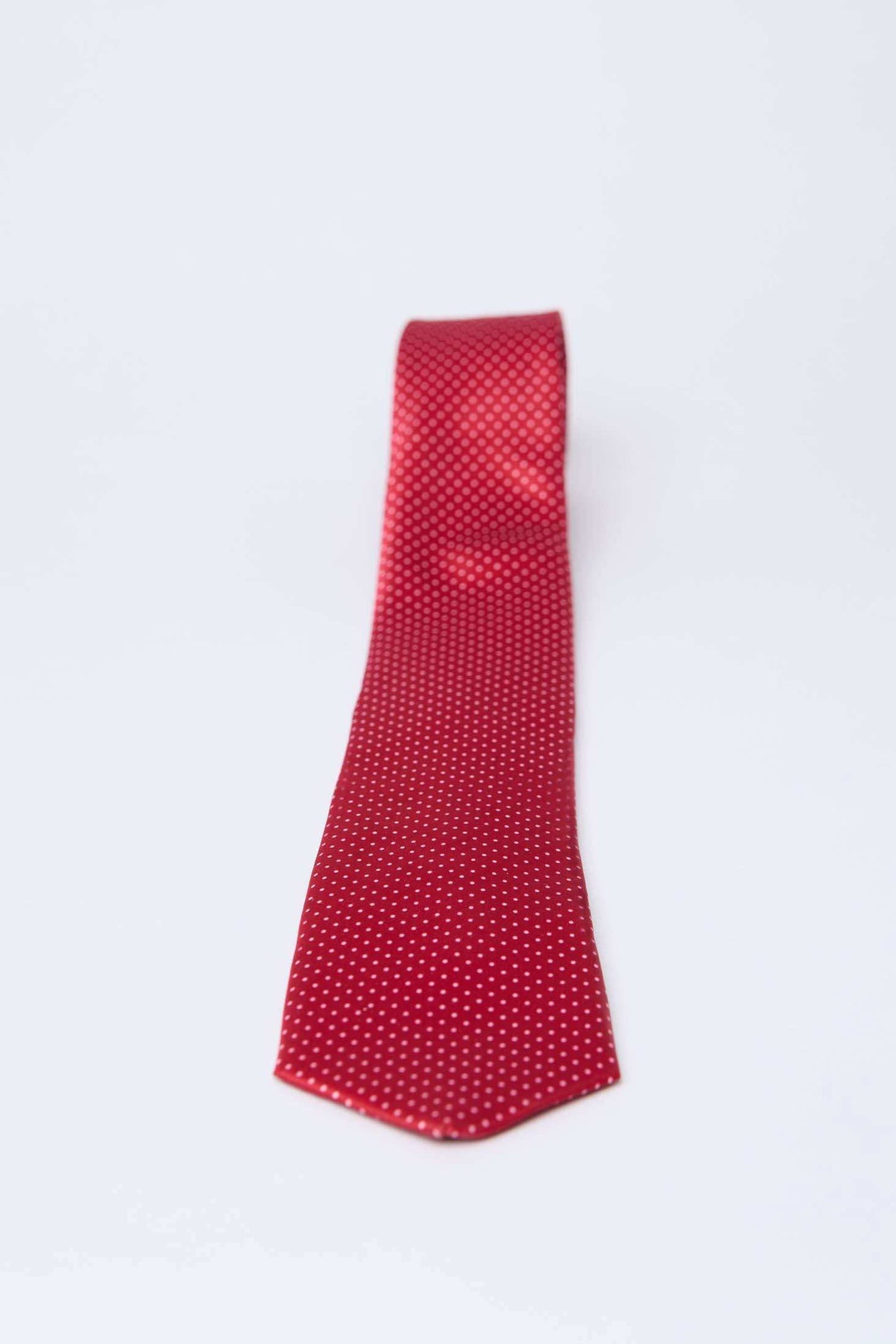 Red Dalydress men's tie with small white polka dots on a plain white background