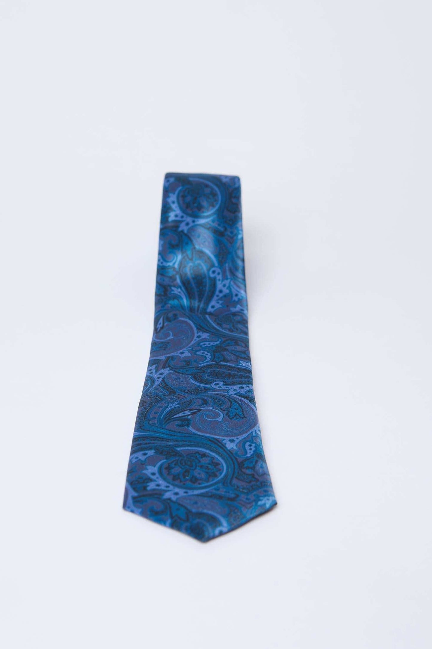 Dalydress men's blue paisley patterned tie on white background