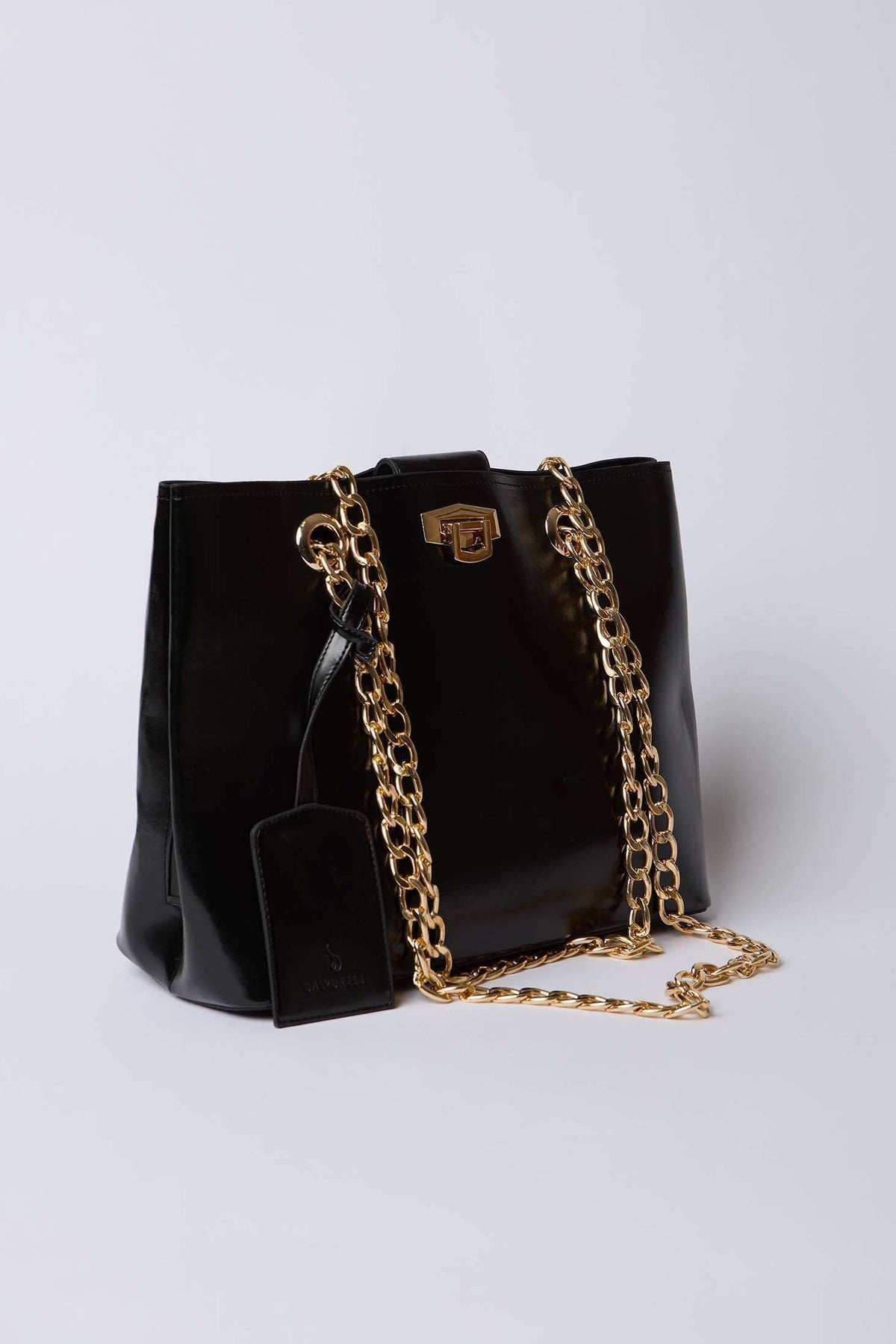Dalydress black leather handbag with gold chain strap and metal clasp on white background