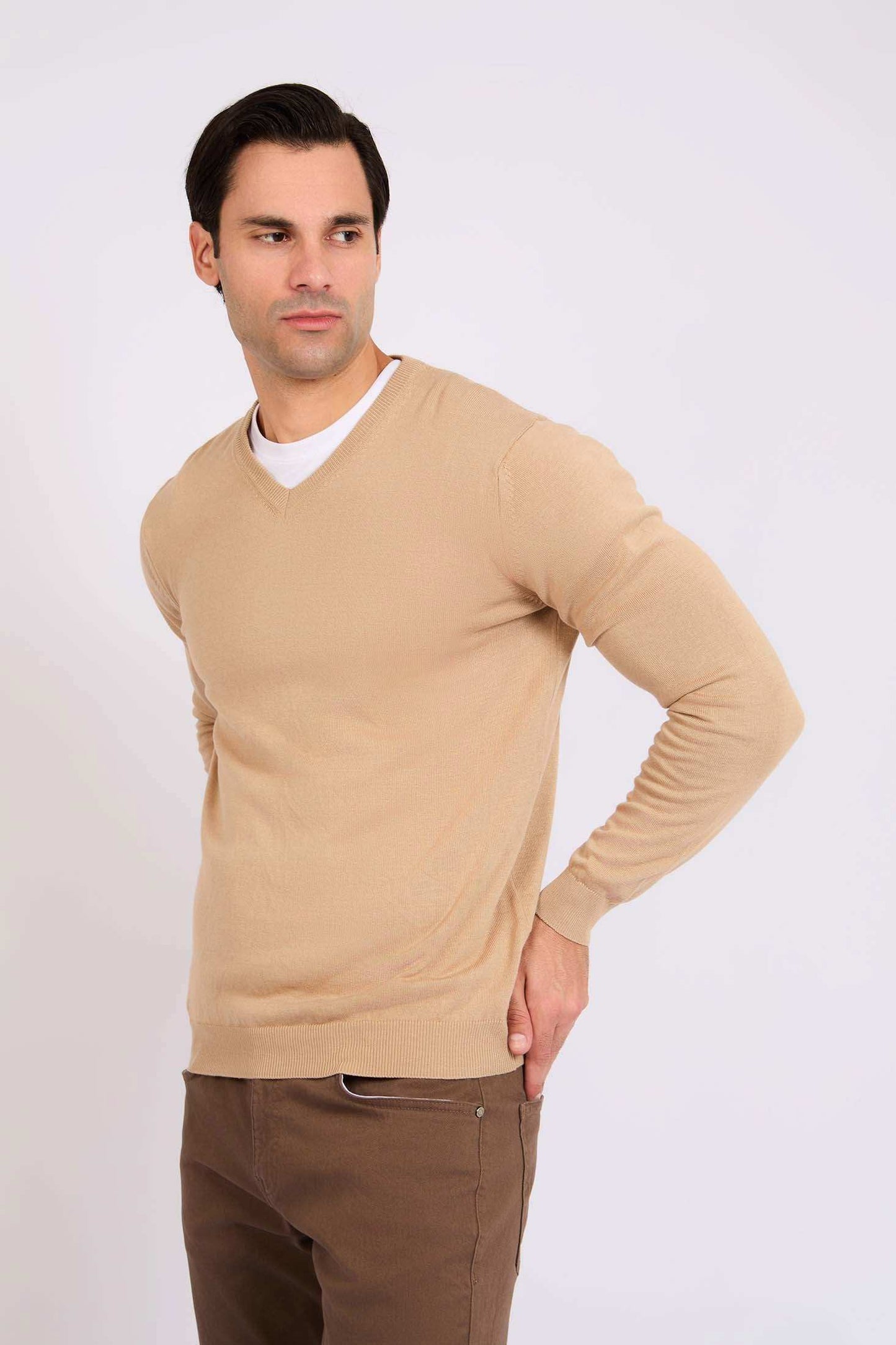 Men Regular Fit Pullover Brown