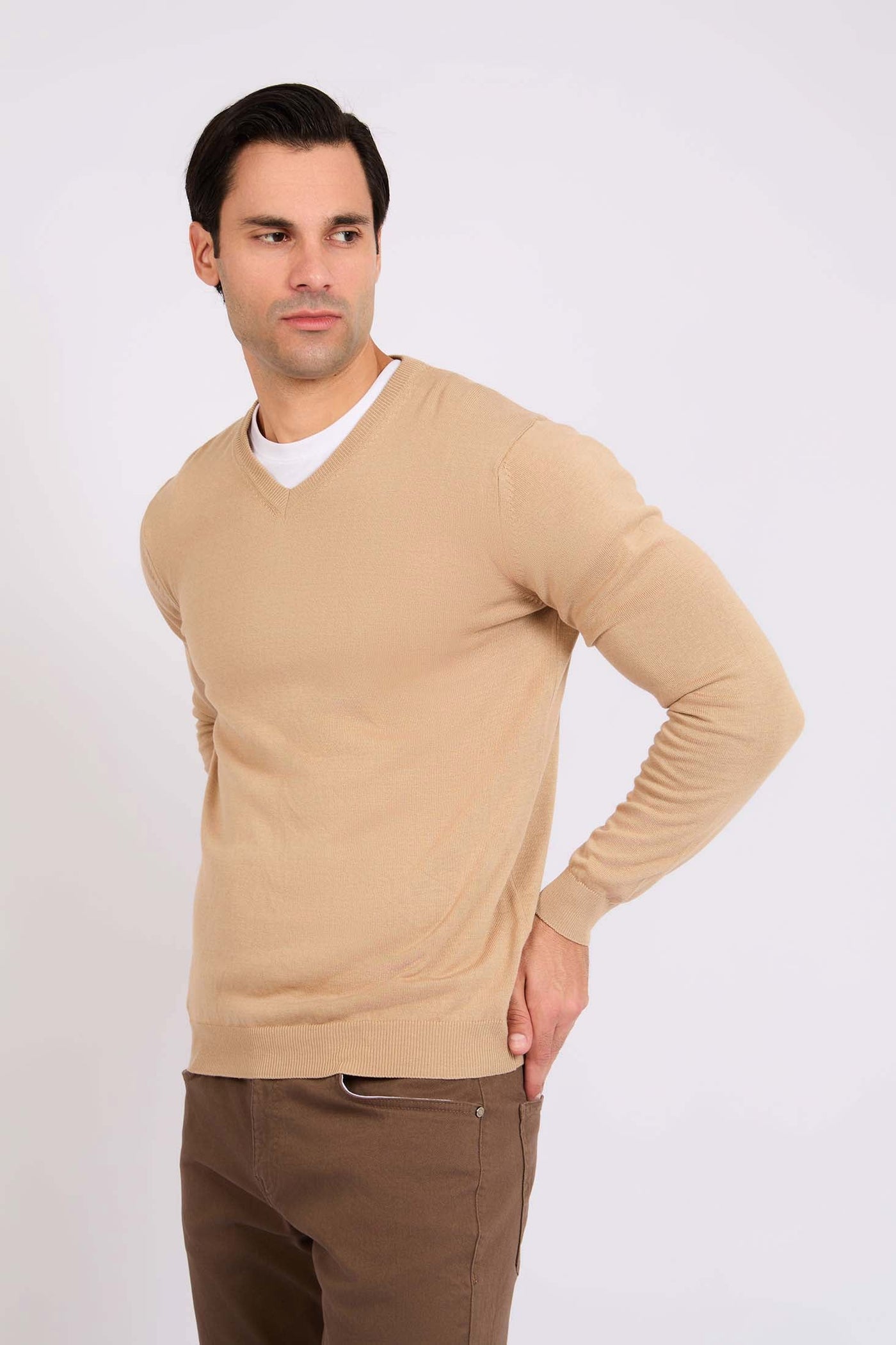 Men Regular Fit Pullover - Brown