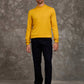Slip On Solid Pullover with Turtle Neck