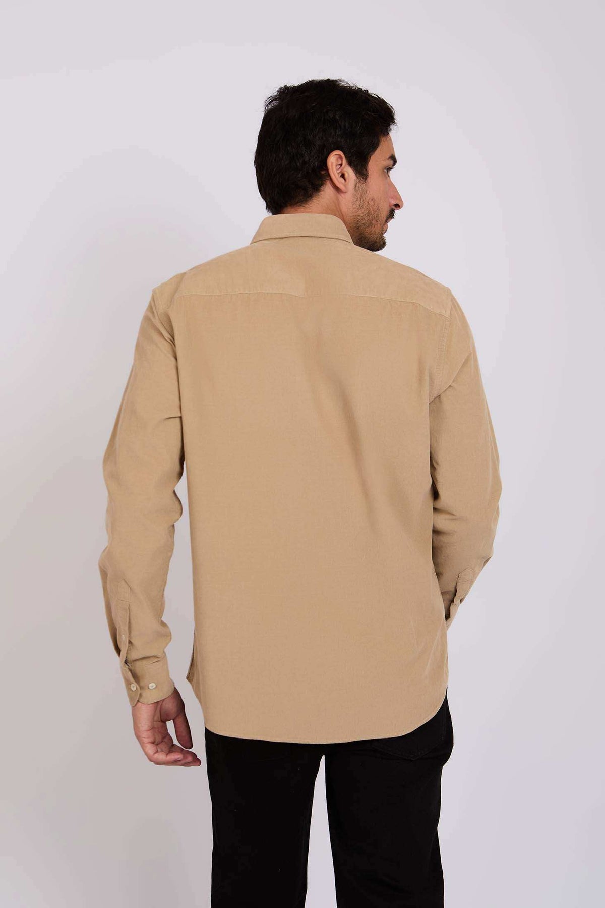 Men Regular Fit Shirt Brown