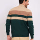 Men Regular Fit Pullover Green
