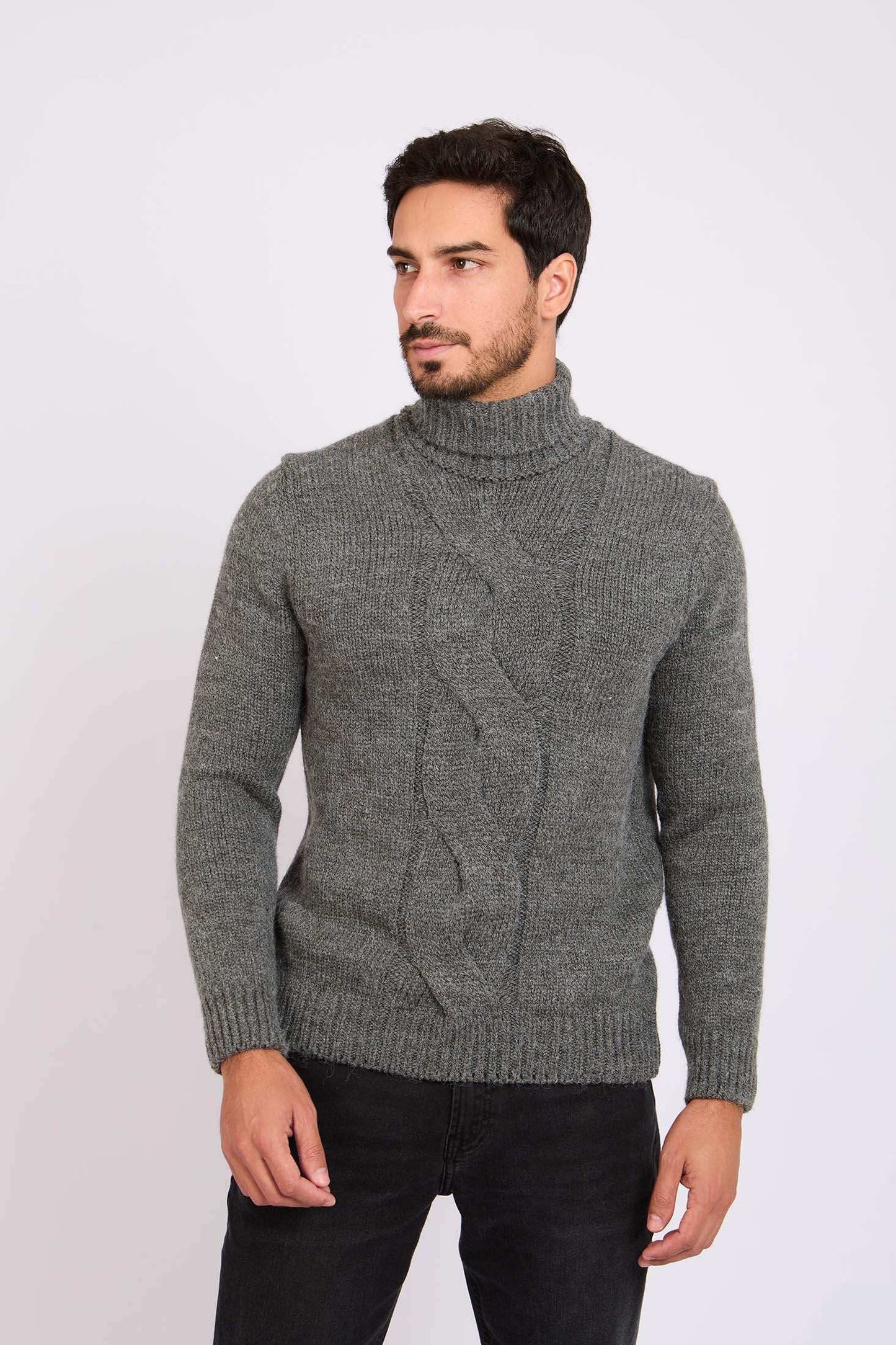 Men Regular Fit Pullover Grey