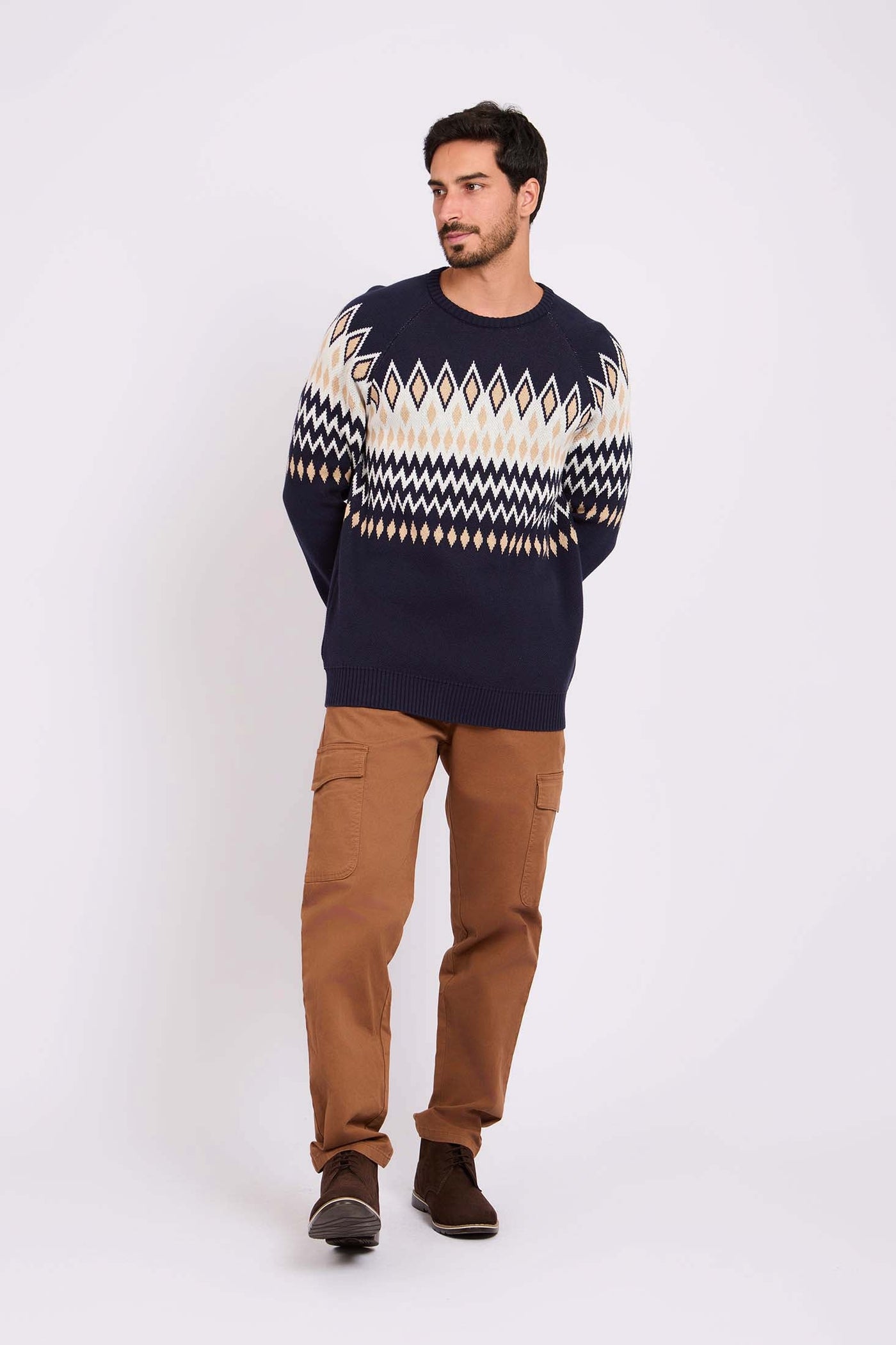 Men Crew Neck Jacquard Pullover - Cotton - Multicolor