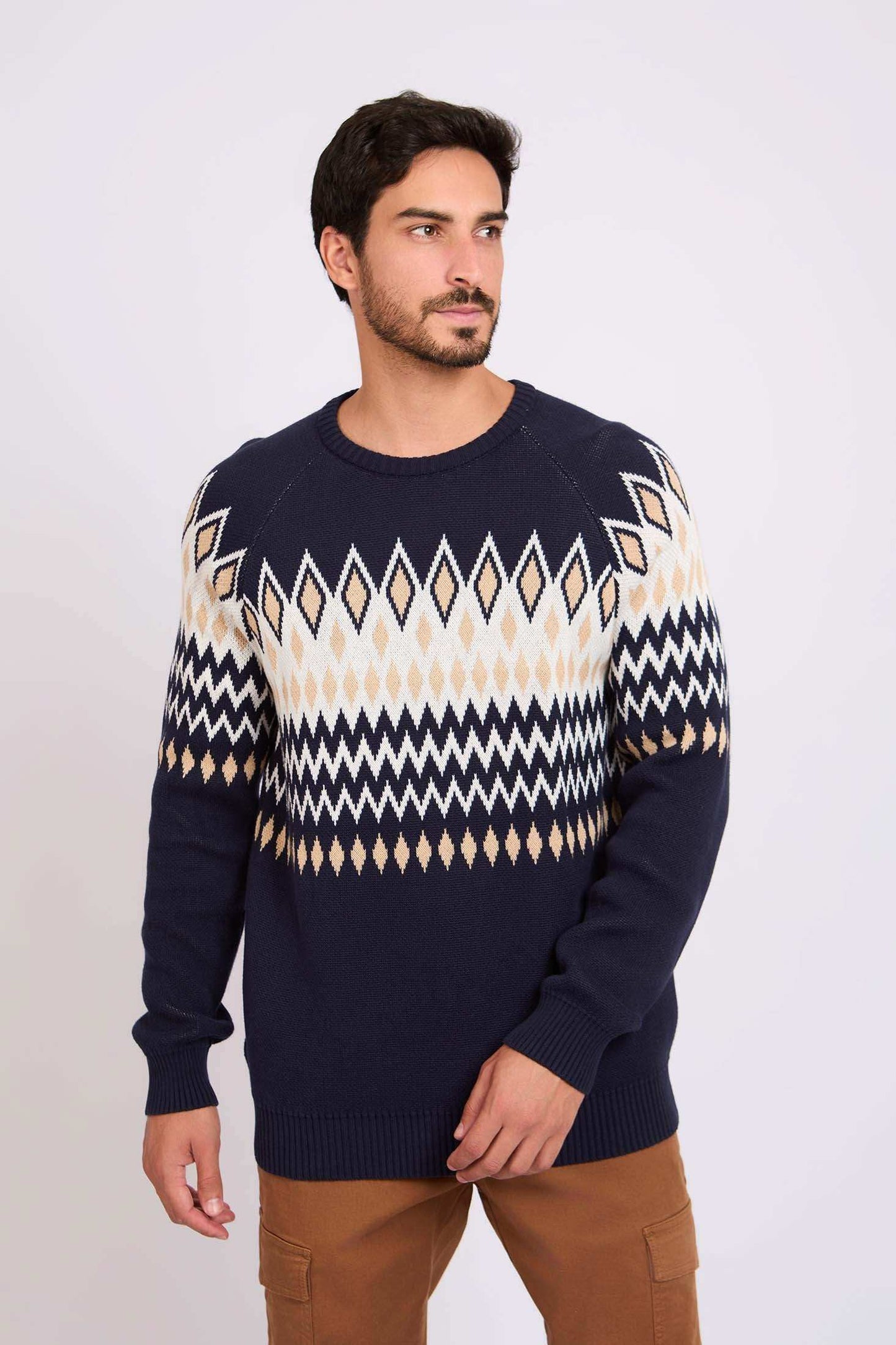 Men Regular Fit Pullover Printed Multicolor
