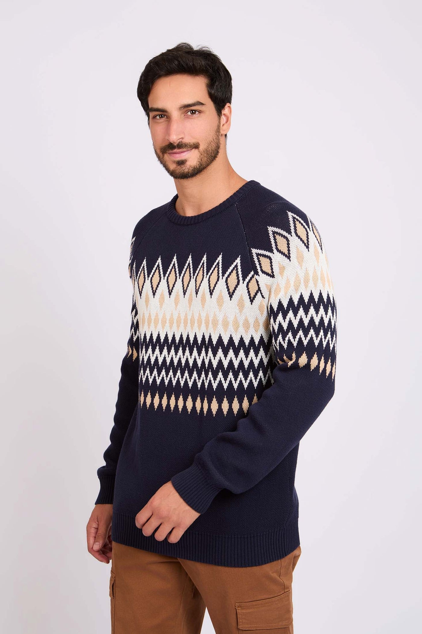 Men Crew Neck Jacquard Pullover - Cotton - Multicolor