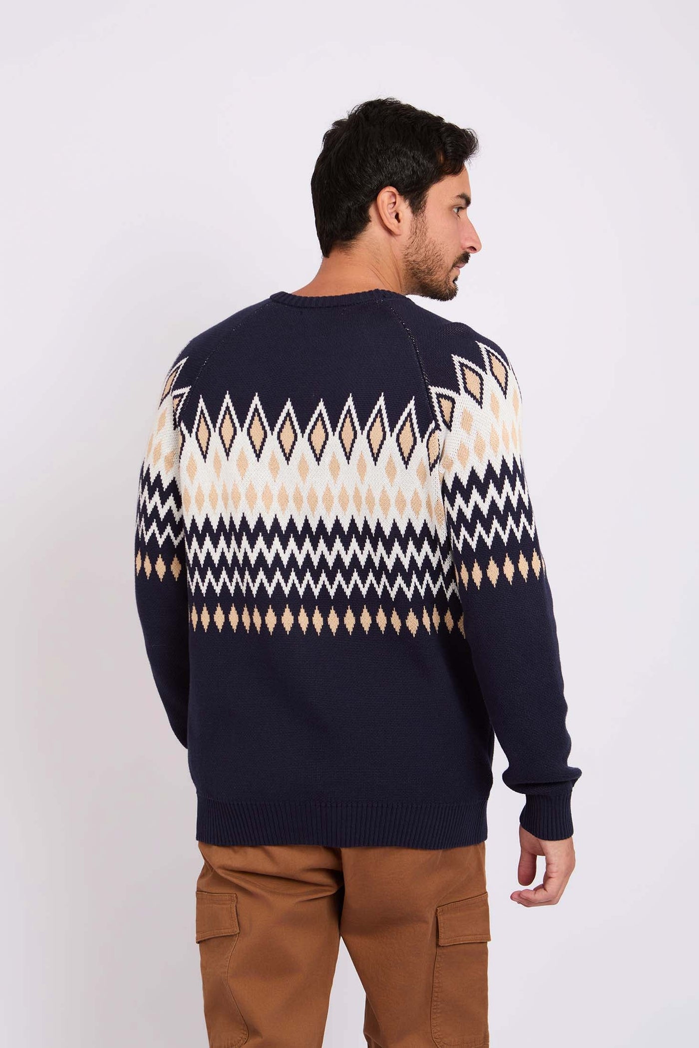 Men Crew Neck Jacquard Pullover - Cotton - Multicolor