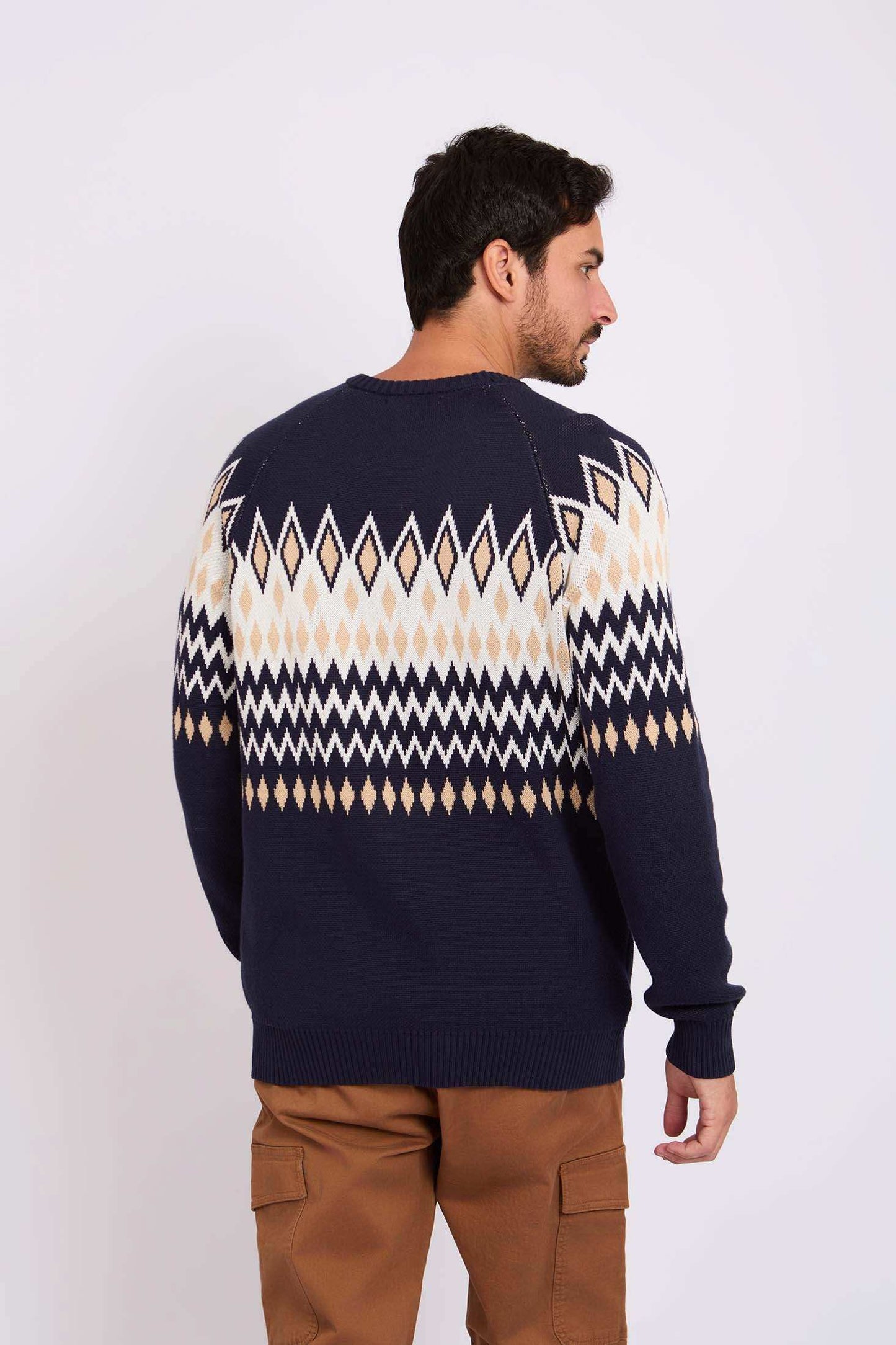 Men Regular Fit Pullover Printed Multicolor