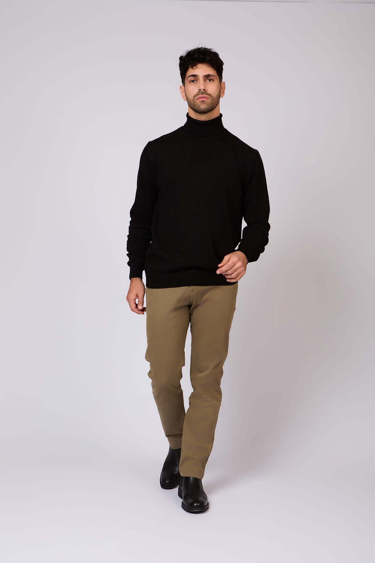 Turtle Neck Solid Regular Basic Pullover