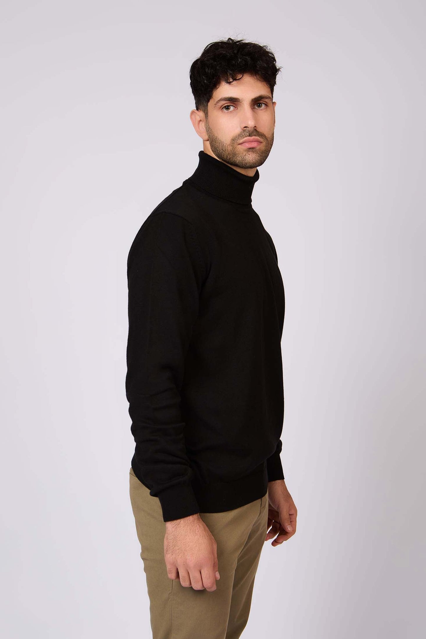 Turtle Neck Solid Regular Basic Pullover