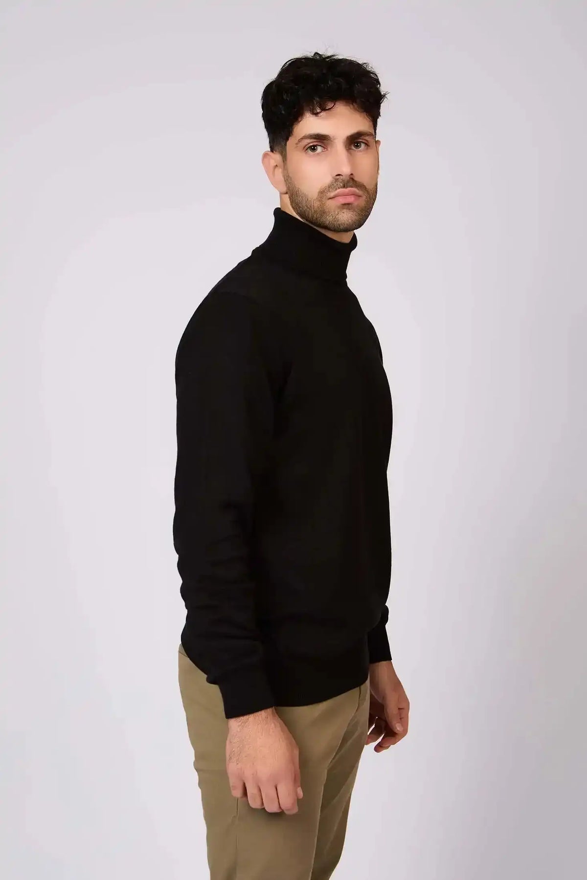 Turtle Neck Solid Regular Basic Pullover