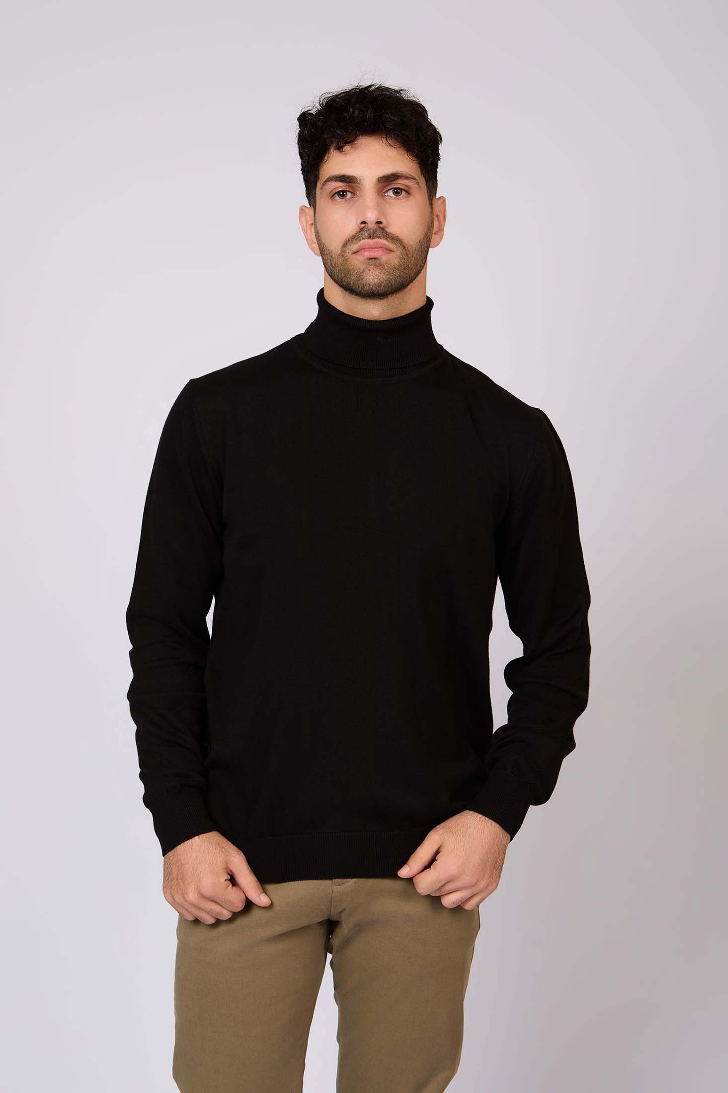 Turtle Neck Solid Regular Basic Pullover