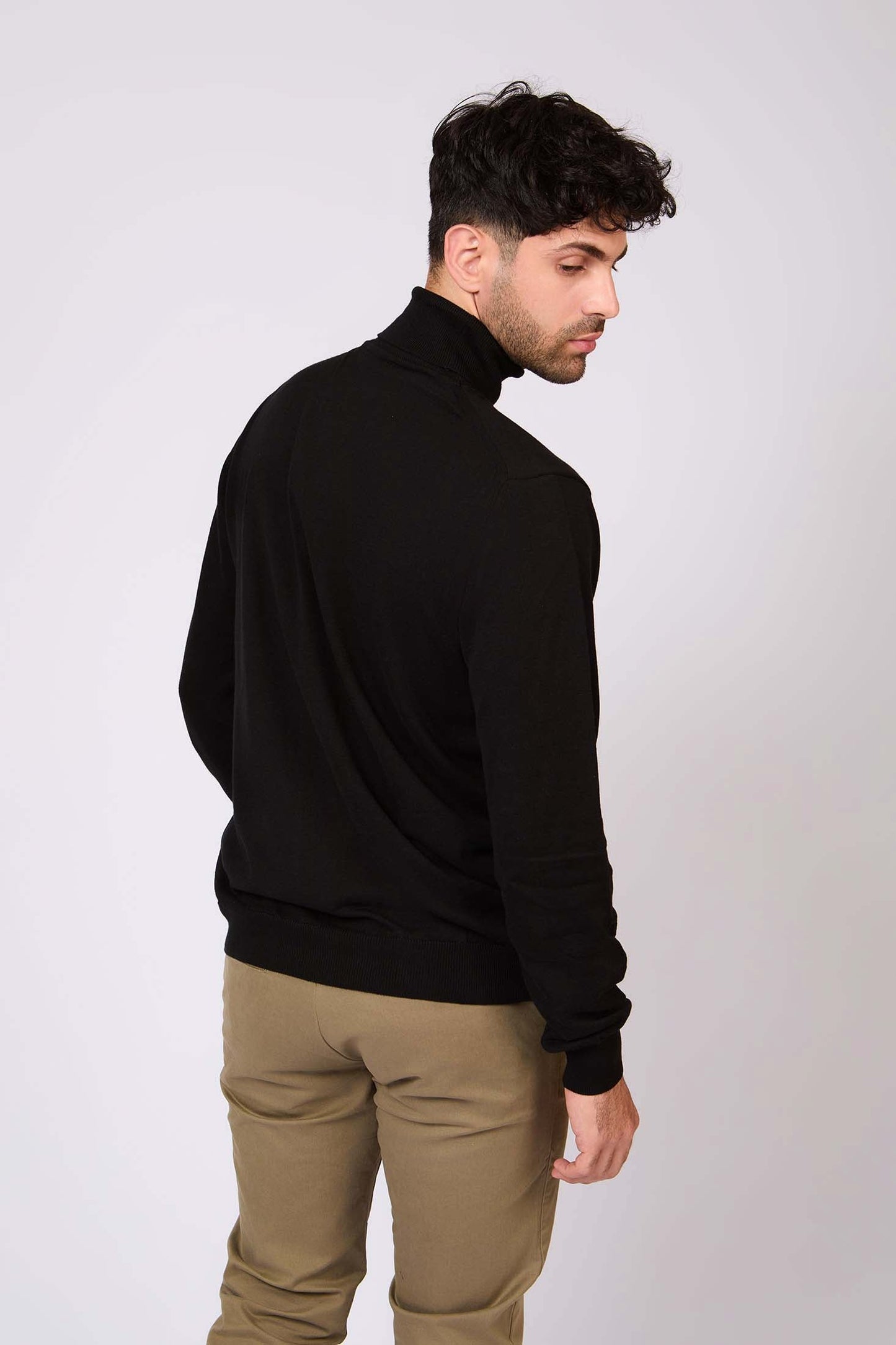 Turtle Neck Solid Regular Basic Pullover