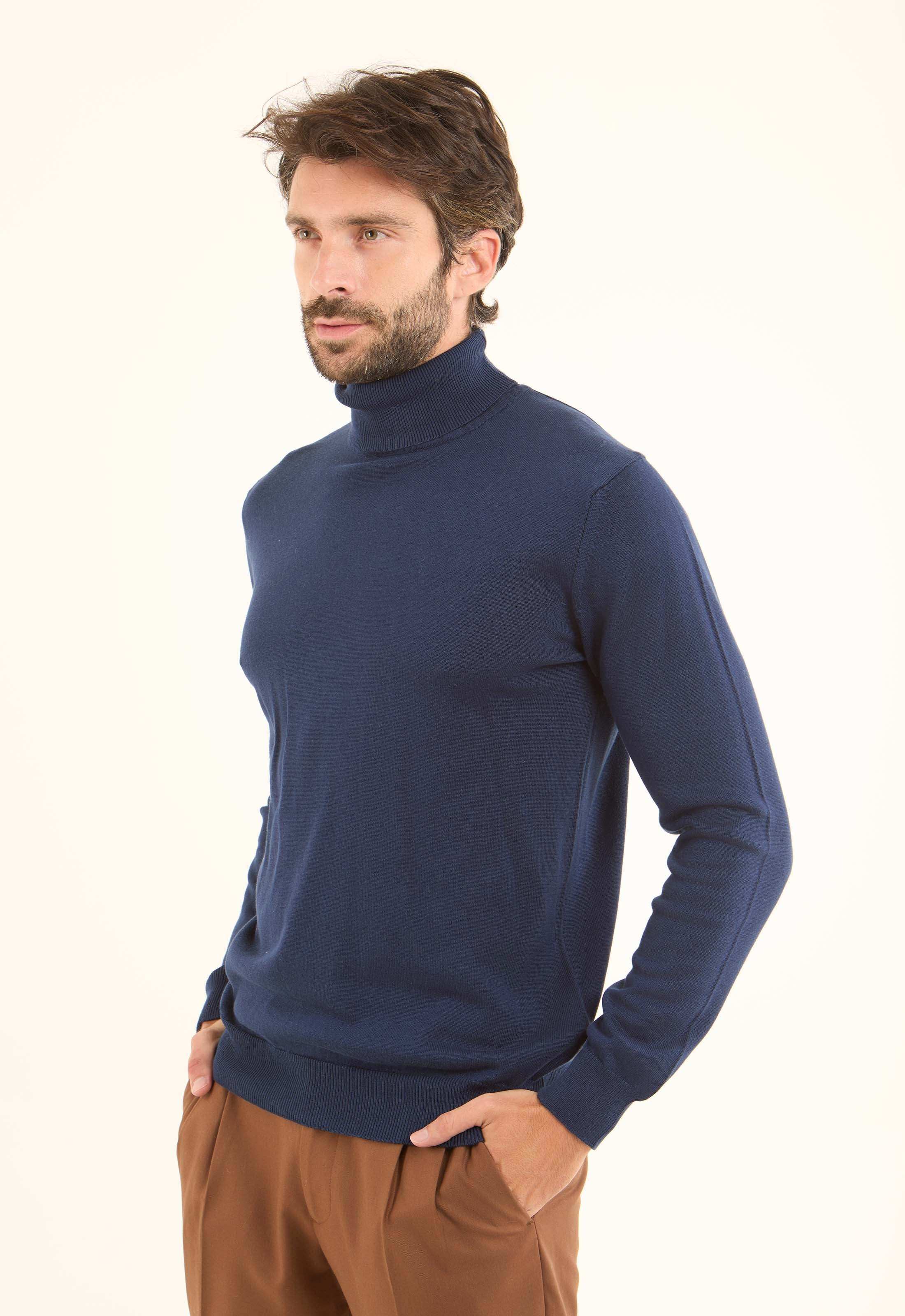 Turtle Neck Solid Regular Basic Pullover