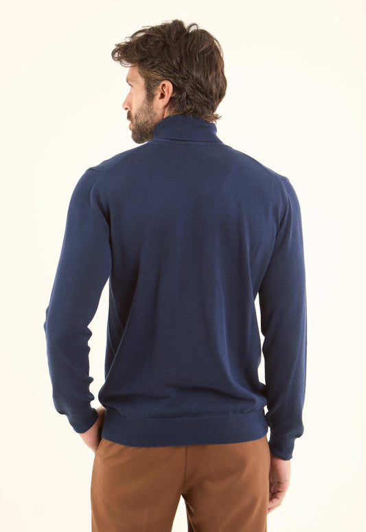 Turtle Neck Solid Regular Basic Pullover