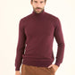 Turtle Neck Solid Regular Basic Pullover