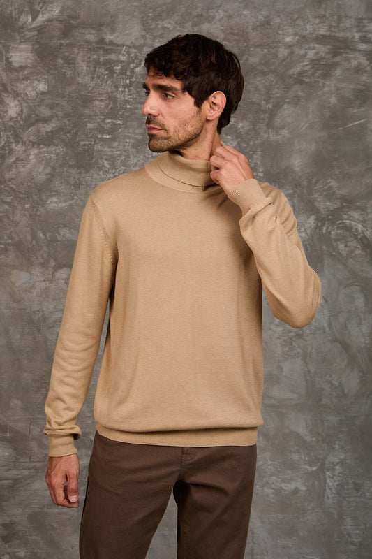 Turtle Neck Solid Regular Basic Pullover