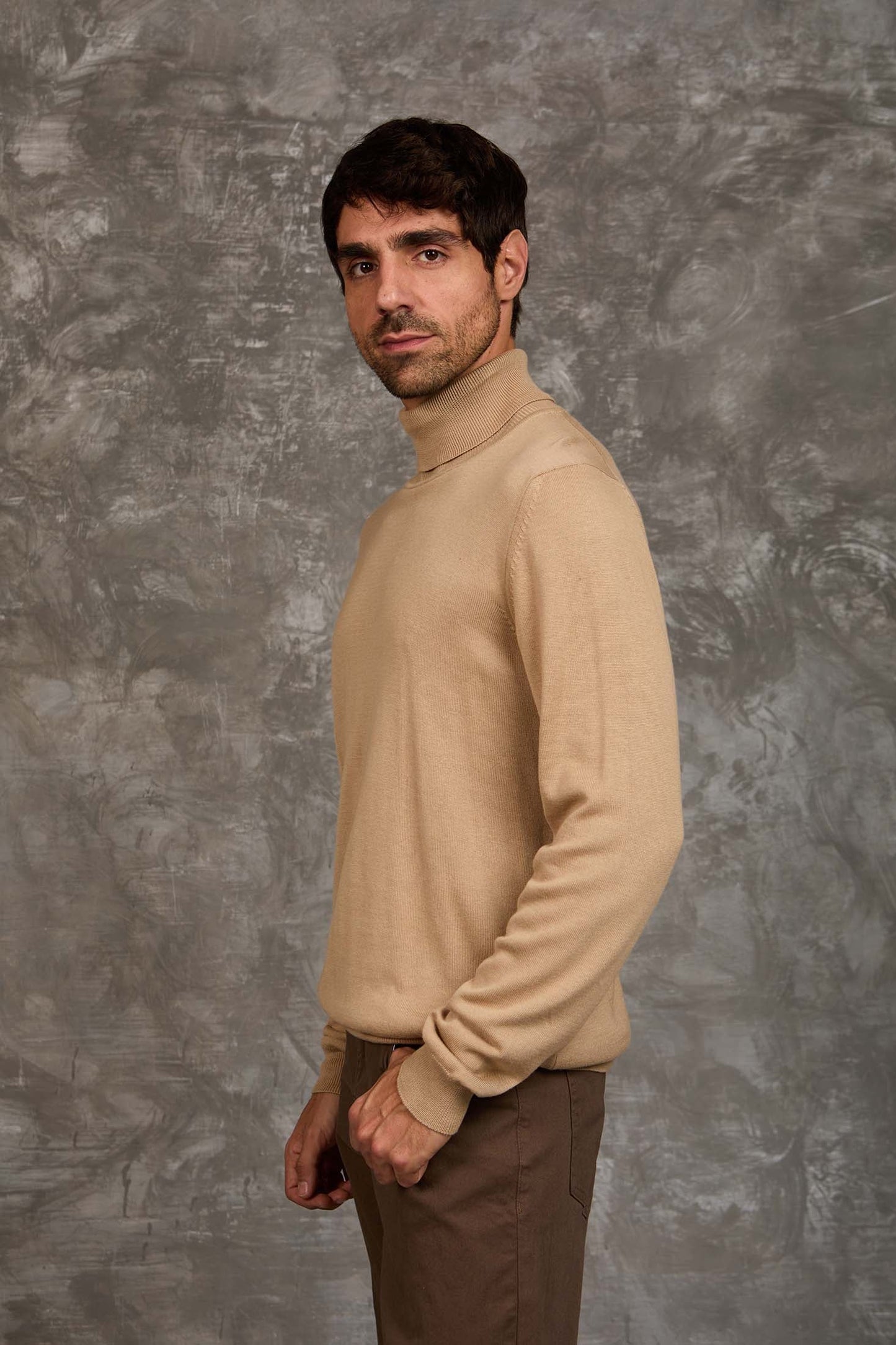 Turtle Neck Solid Regular Basic Pullover