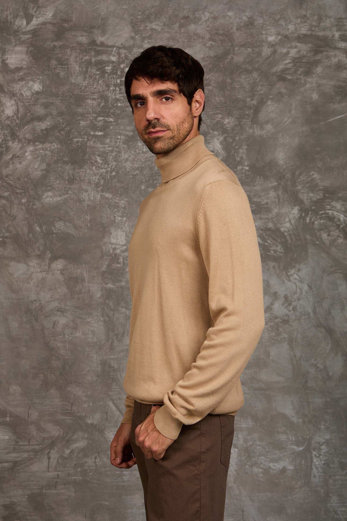Turtle Neck Solid Regular Basic Pullover