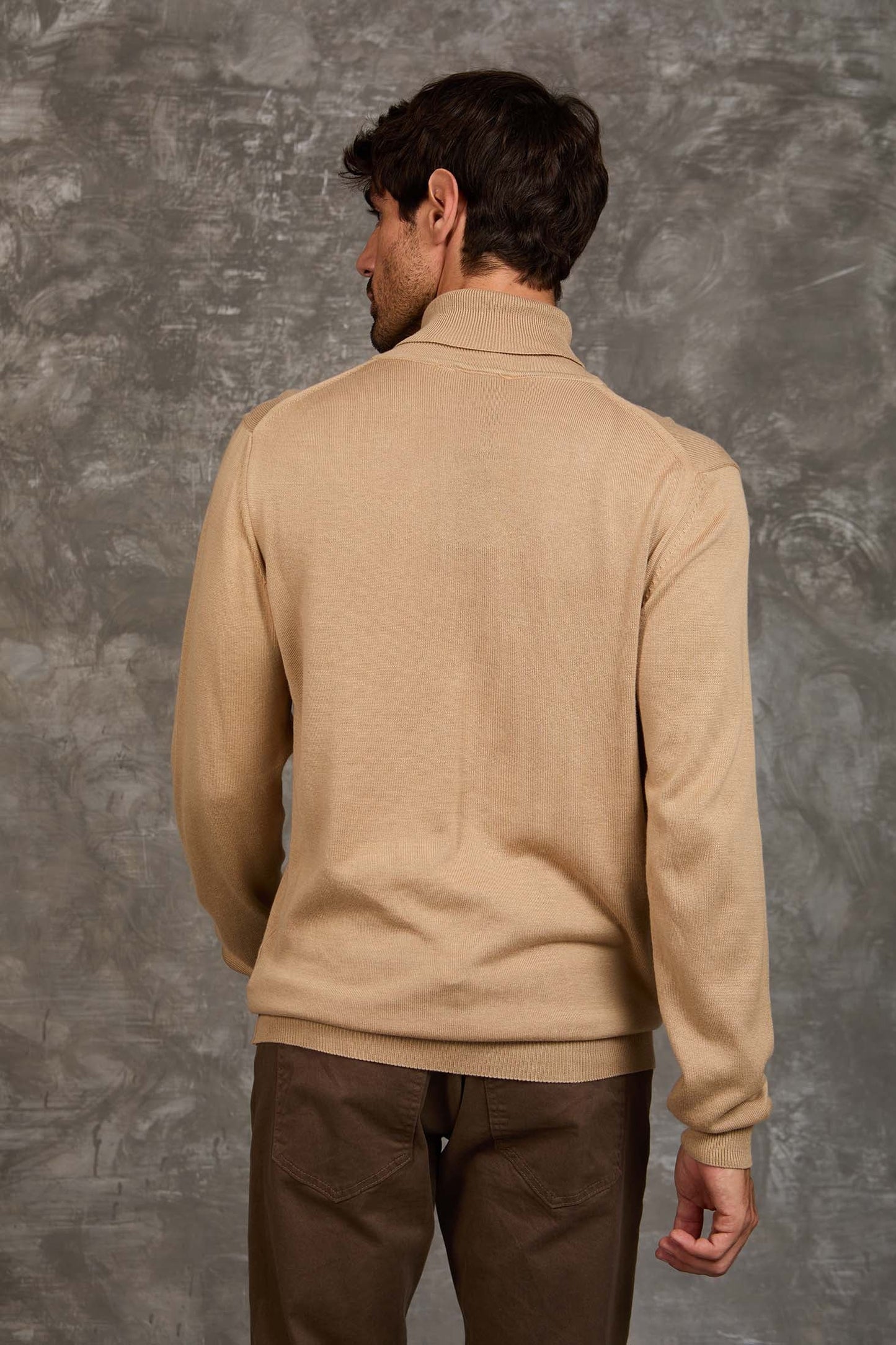 Turtle Neck Solid Regular Basic Pullover