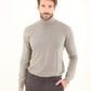 Turtle Neck Solid Regular Basic Pullover