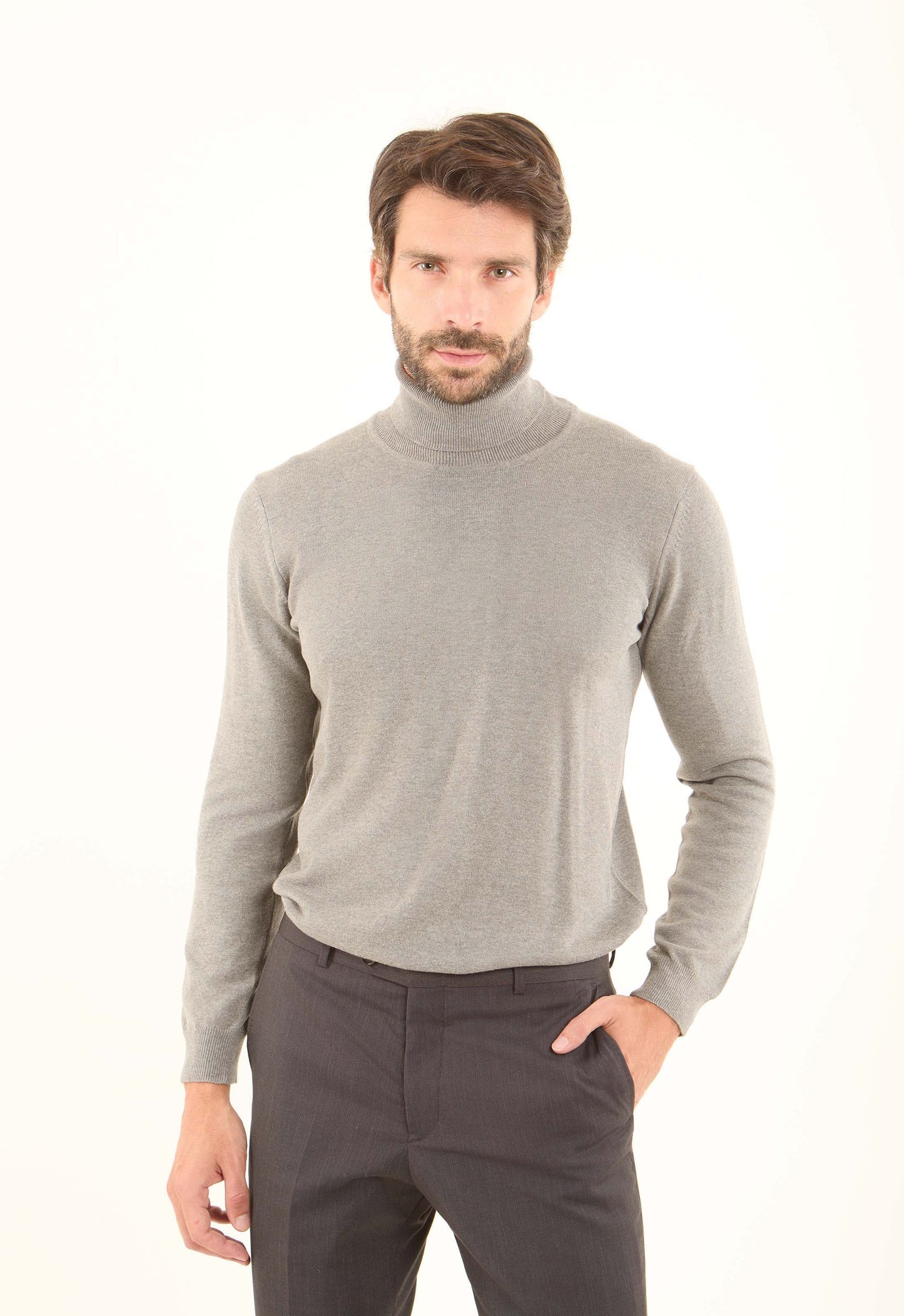 Turtle Neck Solid Regular Basic Pullover