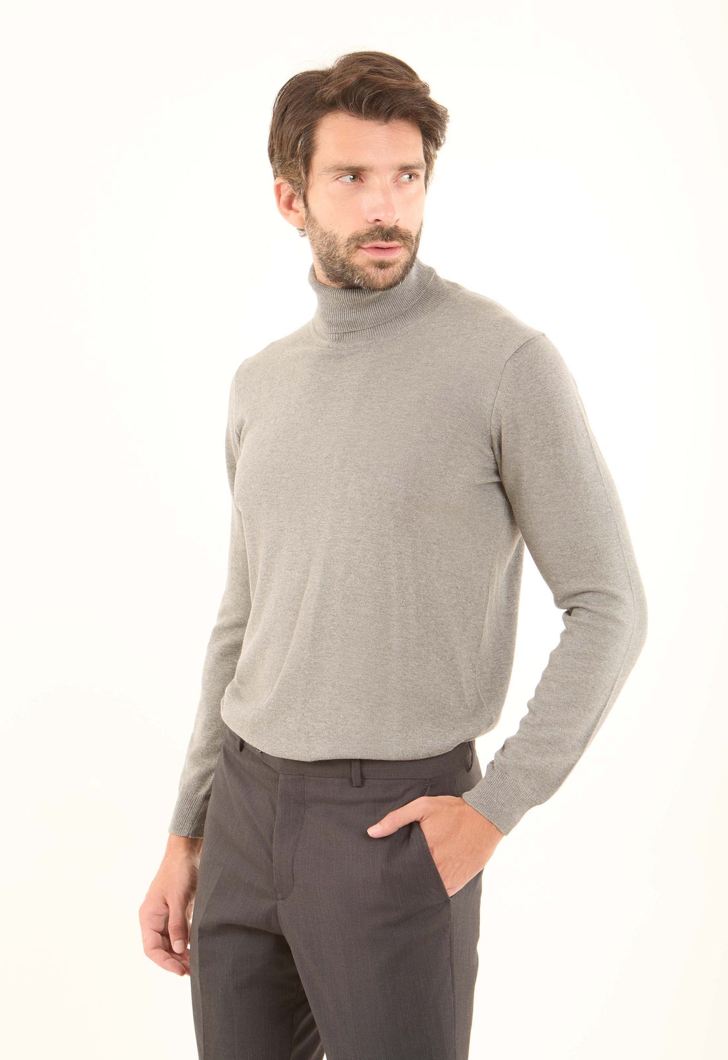 Turtle Neck Solid Regular Basic Pullover