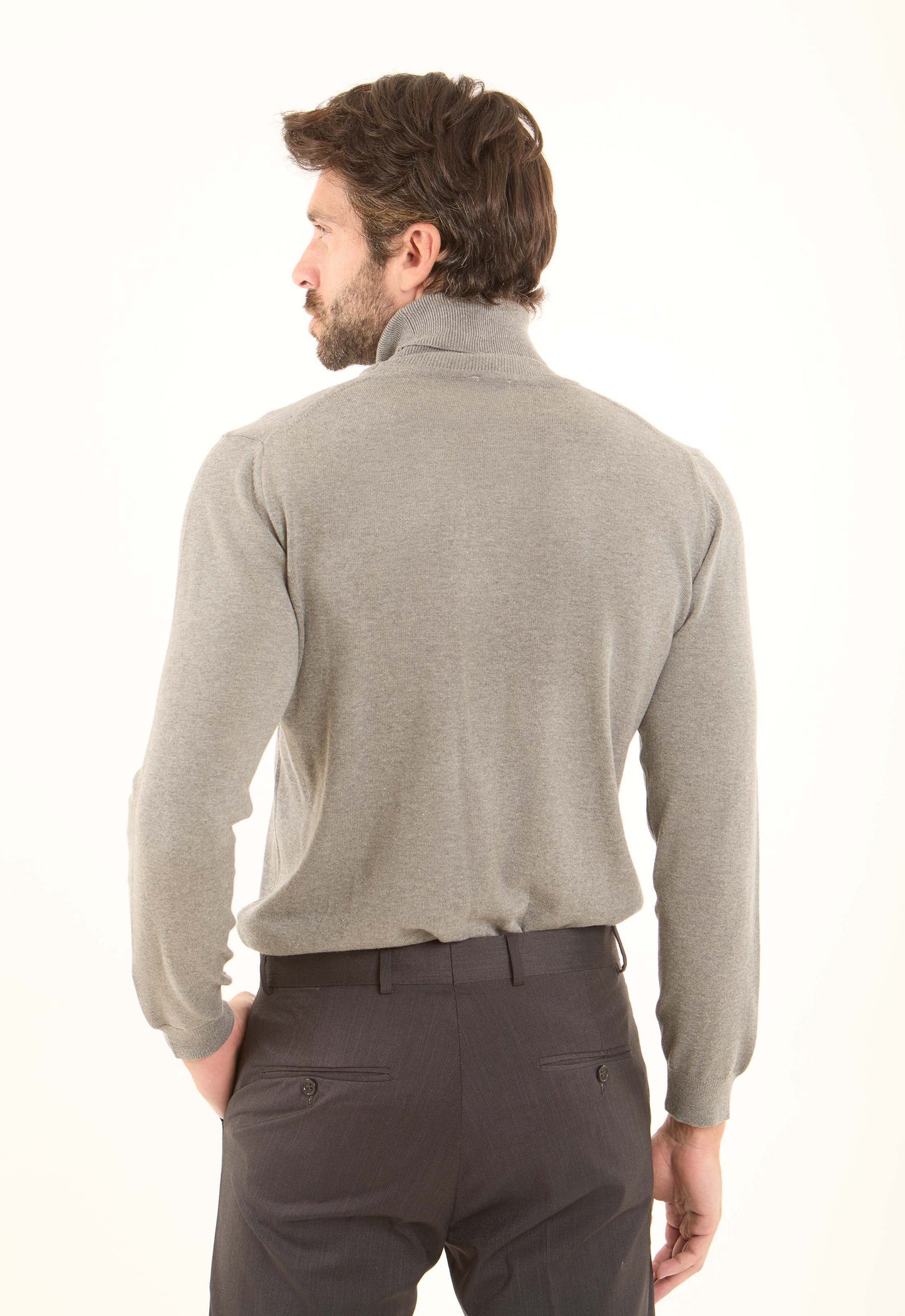 Turtle Neck Solid Regular Basic Pullover