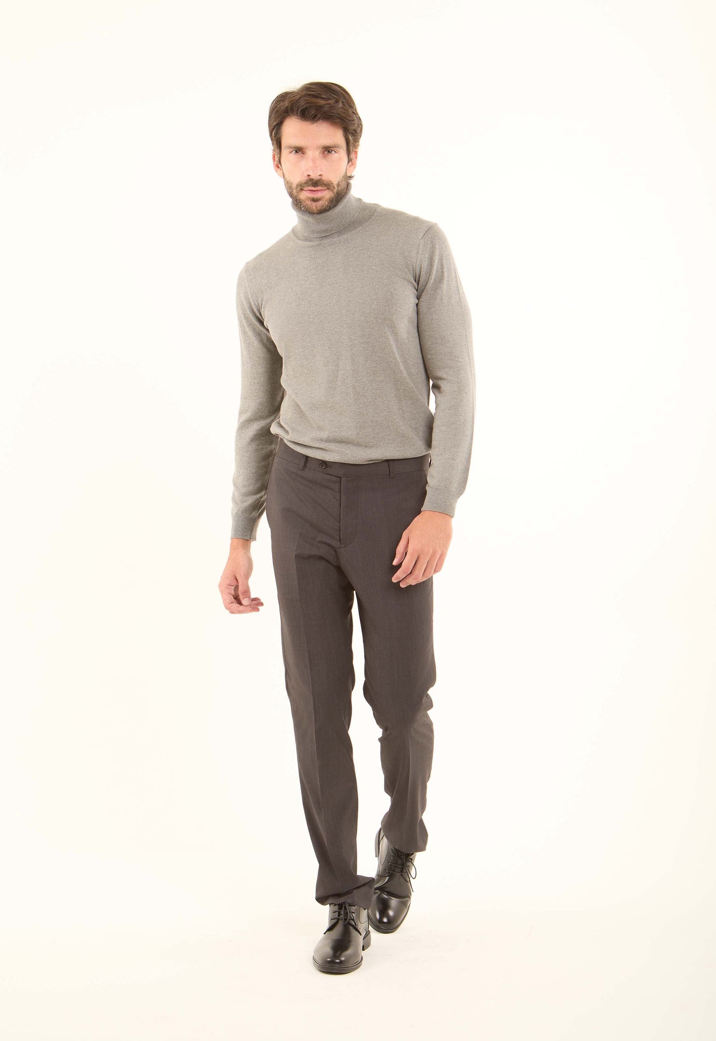 Turtle Neck Solid Regular Basic Pullover