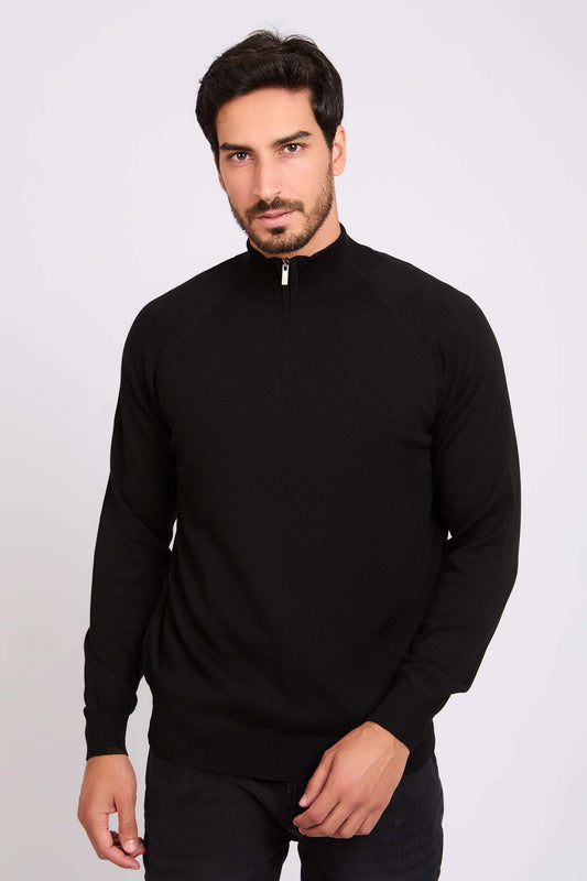 Regular Fit Solid Classic Zipped Sweater