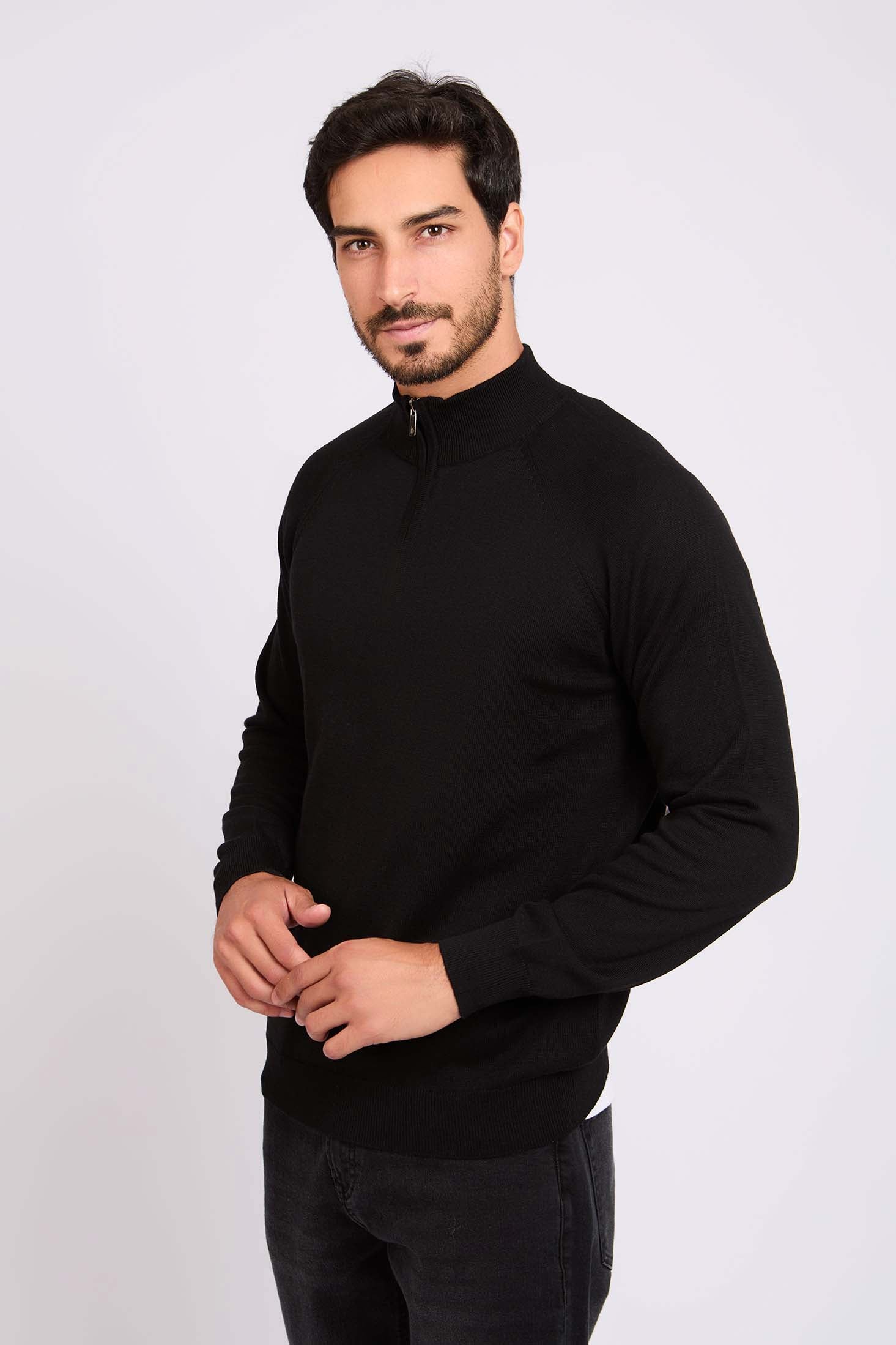 Regular Fit Solid Classic Zipped Sweater