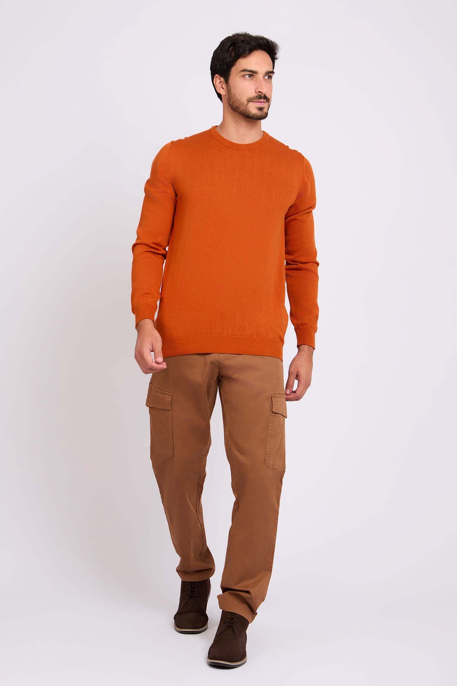 Long Sleeves Solid Basic Pullover