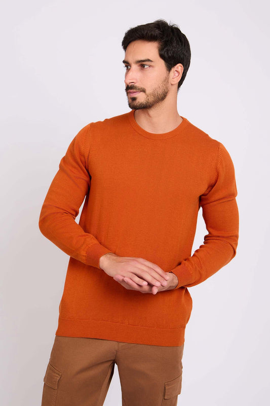 Long Sleeves Solid Basic Pullover