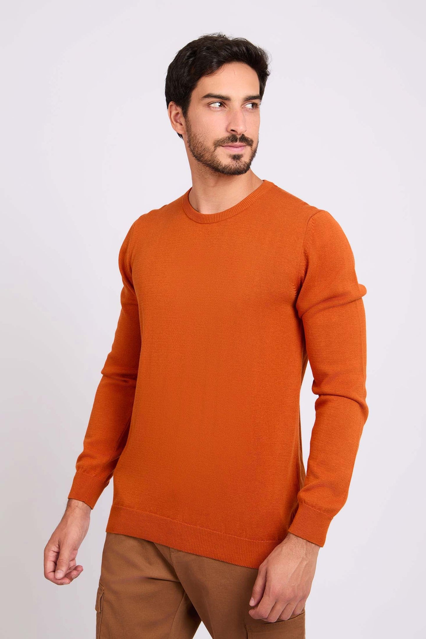 Long Sleeves Solid Basic Pullover