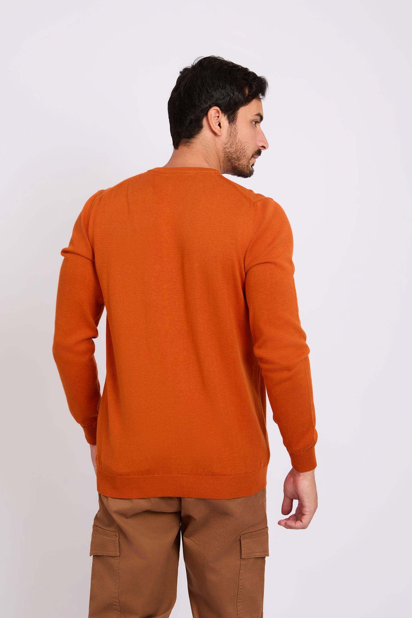 Long Sleeves Solid Basic Pullover
